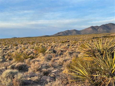 Vacant Land For Sale - 12470 N Blagg Road<br/> Pahrump, NV 89060