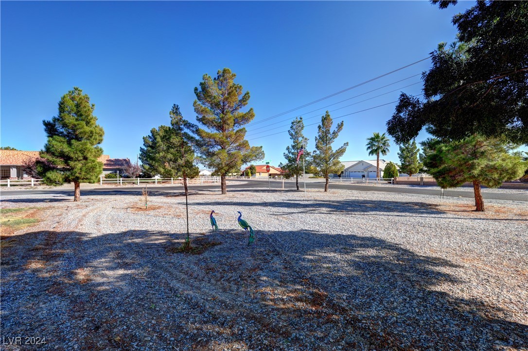 3020 Yucca Terrace Avenue, Pahrump, Nevada image 45