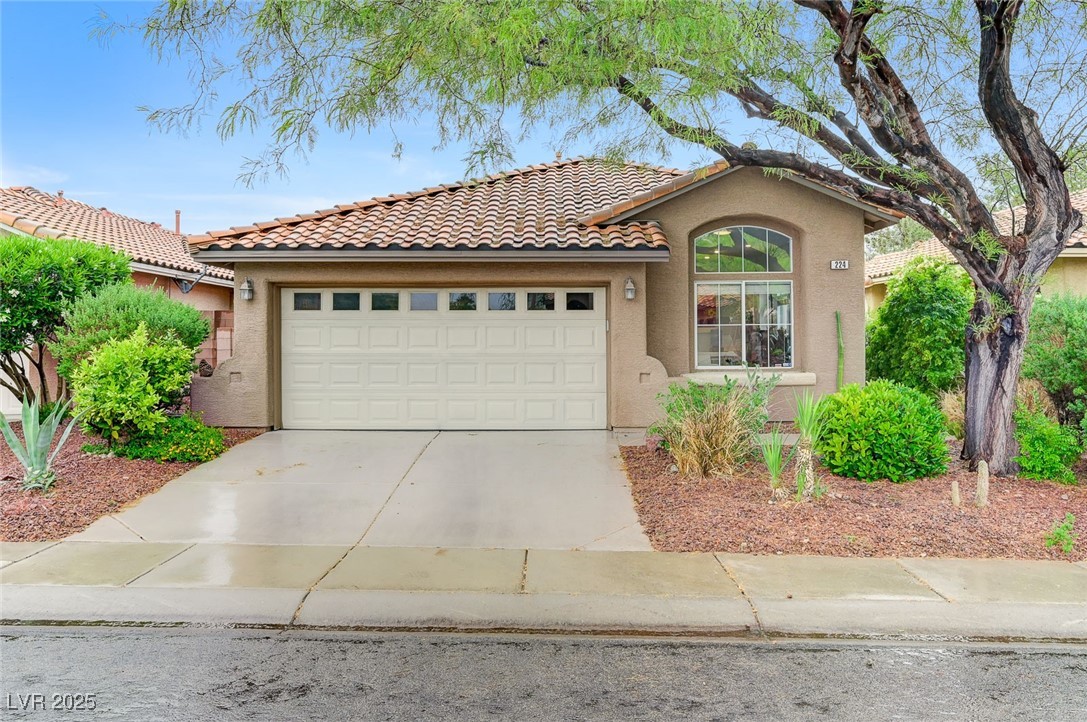 224 Silver Castle Street, Las Vegas, Nevada image 25