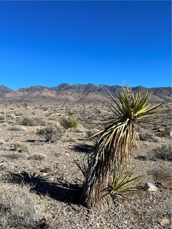 2381 E Mazzuka Avenue, Pahrump, Nevada image 3