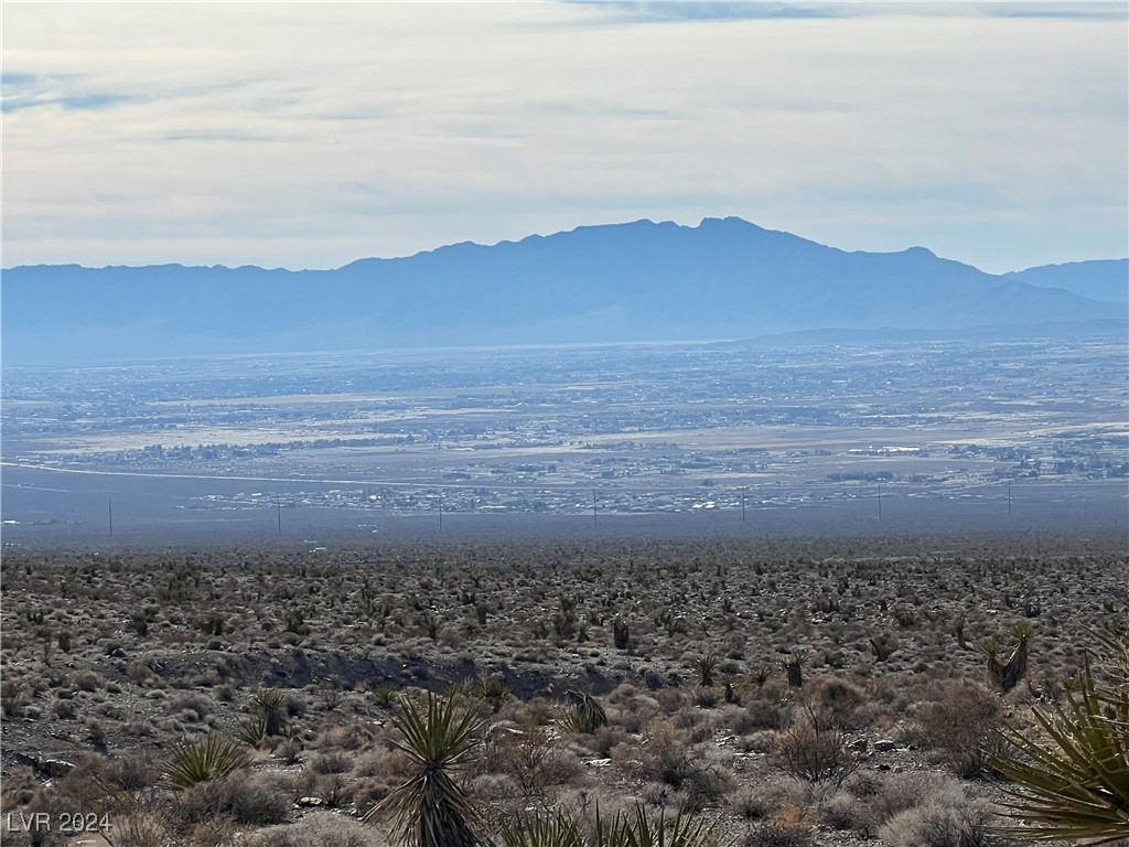 2381 E Mazzuka Avenue, Pahrump, Nevada image 2