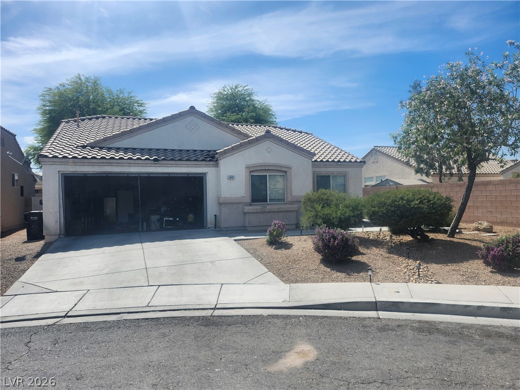 3441 Mazzocco Court