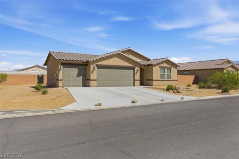 3882 E Chaffe Avenue Pahrump NV 89061