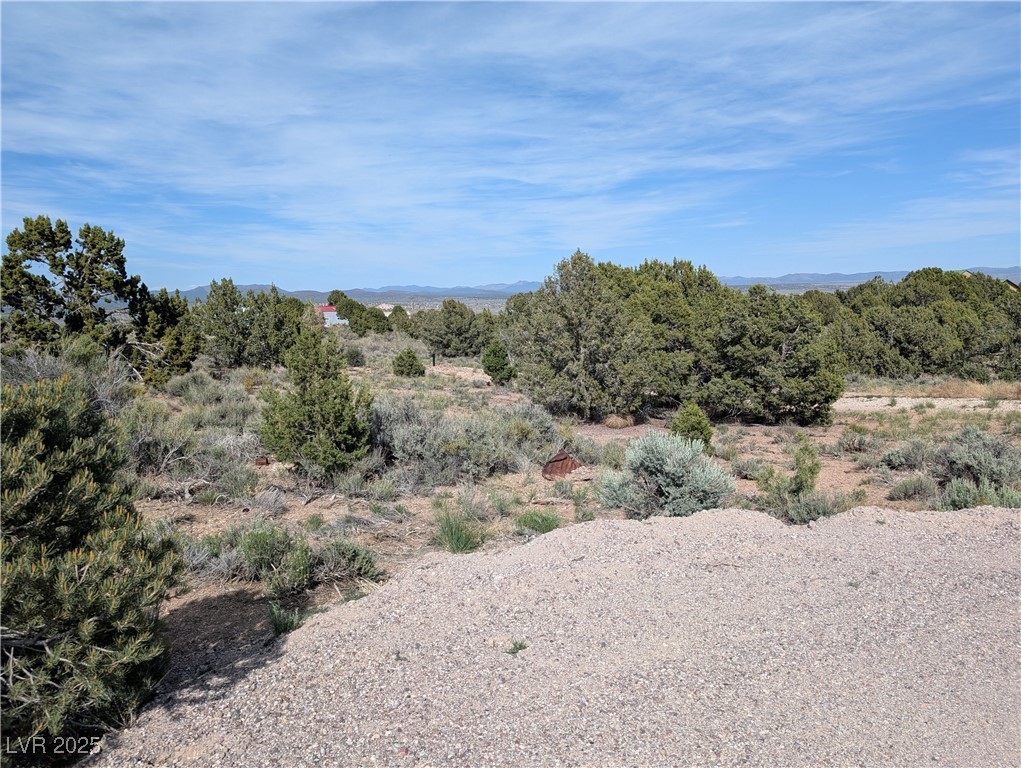 1190 E Basin Avenue, Pahrump, Nevada image 2