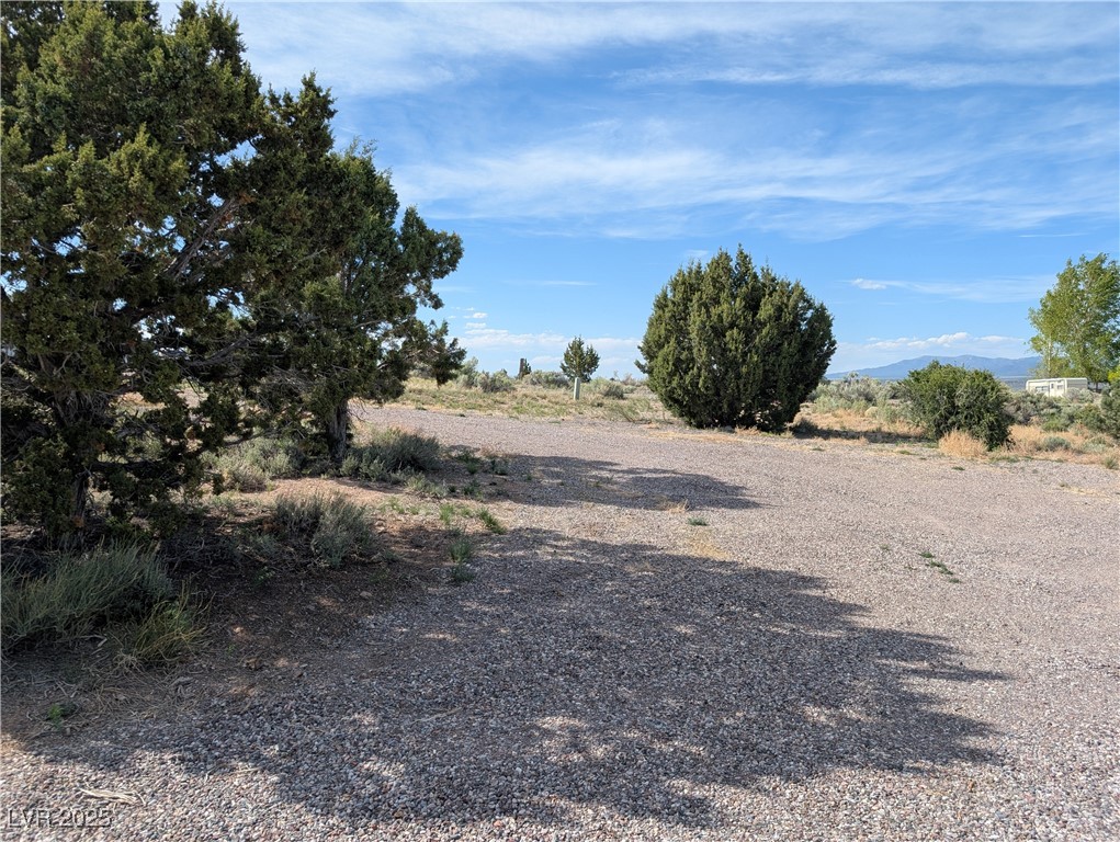 1190 E Basin Avenue, Pahrump, Nevada image 3