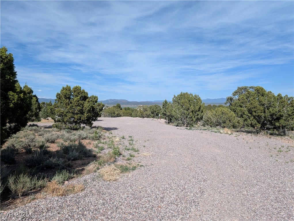 1190 E Basin Avenue, Pahrump, Nevada image 5