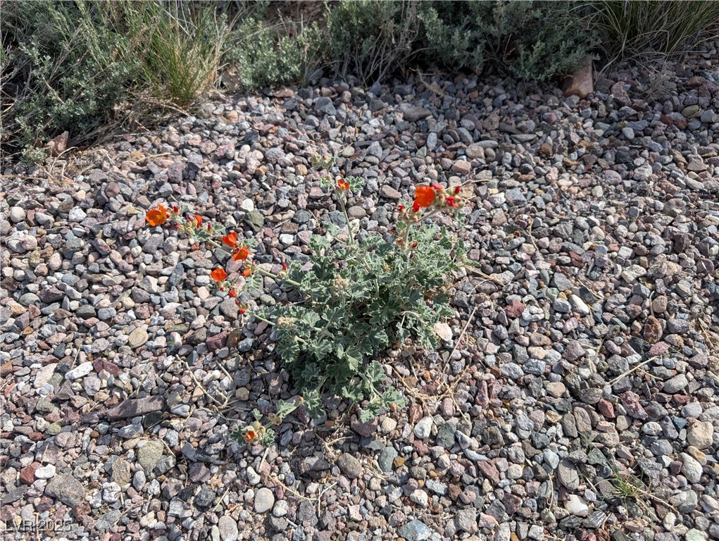 1190 E Basin Avenue, Pahrump, Nevada image 17