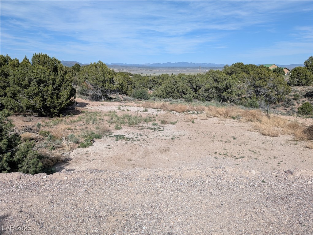 1190 E Basin Avenue, Pahrump, Nevada image 10