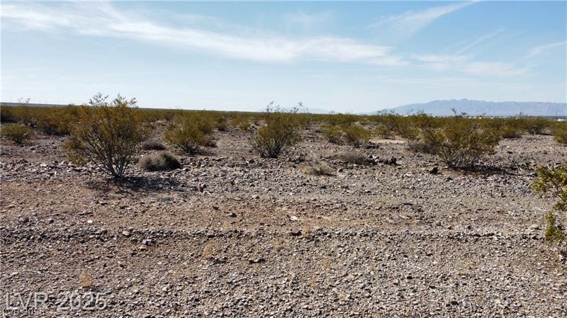 1501 E Saguaro Drive