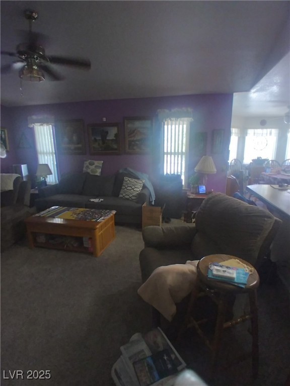 1611 Red Rock Drive, Pahrump, Nevada image 28