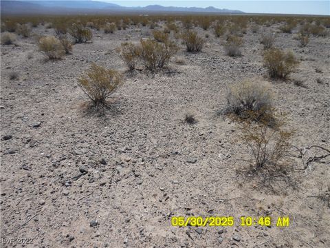 5114 Phoenix Drive Pahrump NV 89060