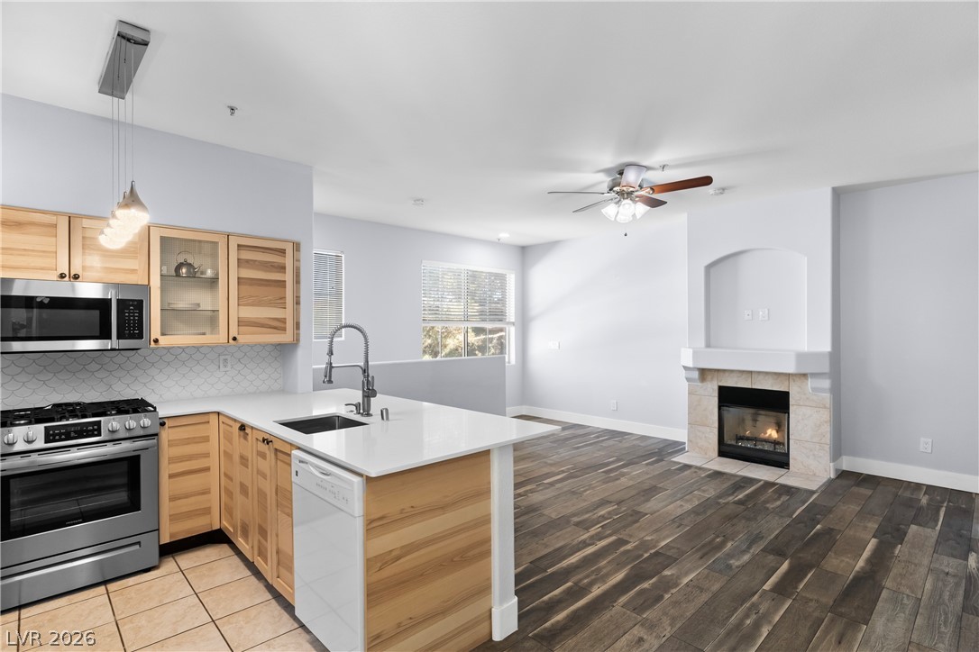 9050 W Warm Springs Road 2009