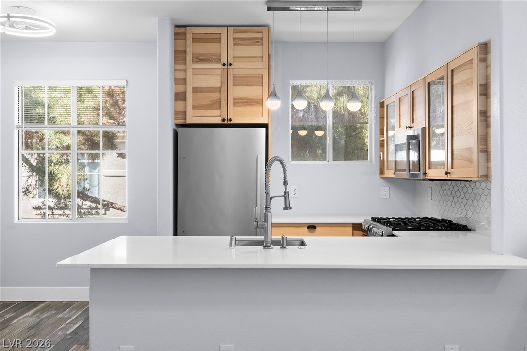 9050 W Warm Springs Road 2009