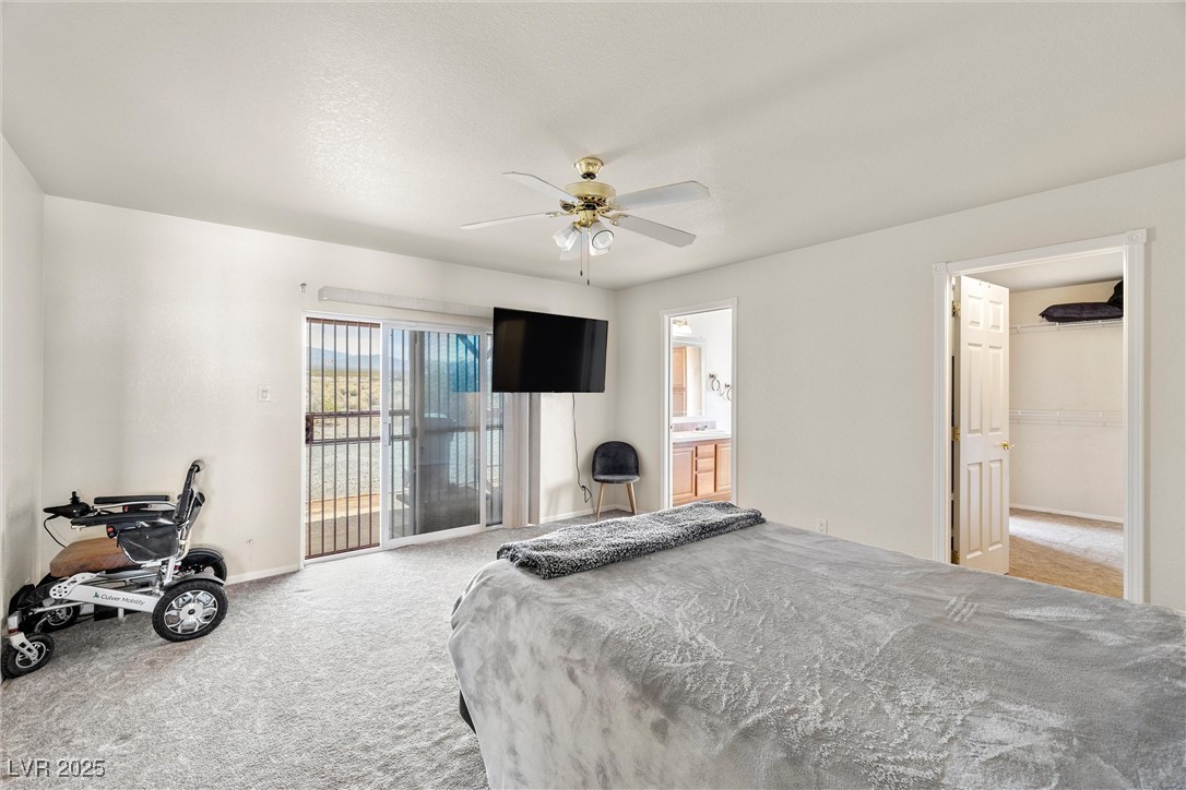 1181 Mitchell Place, Pahrump, Nevada image 14