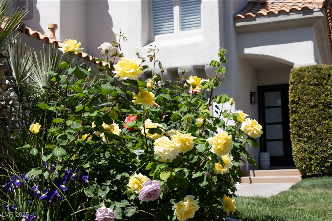 8848 Rainbow Ridge Drive
