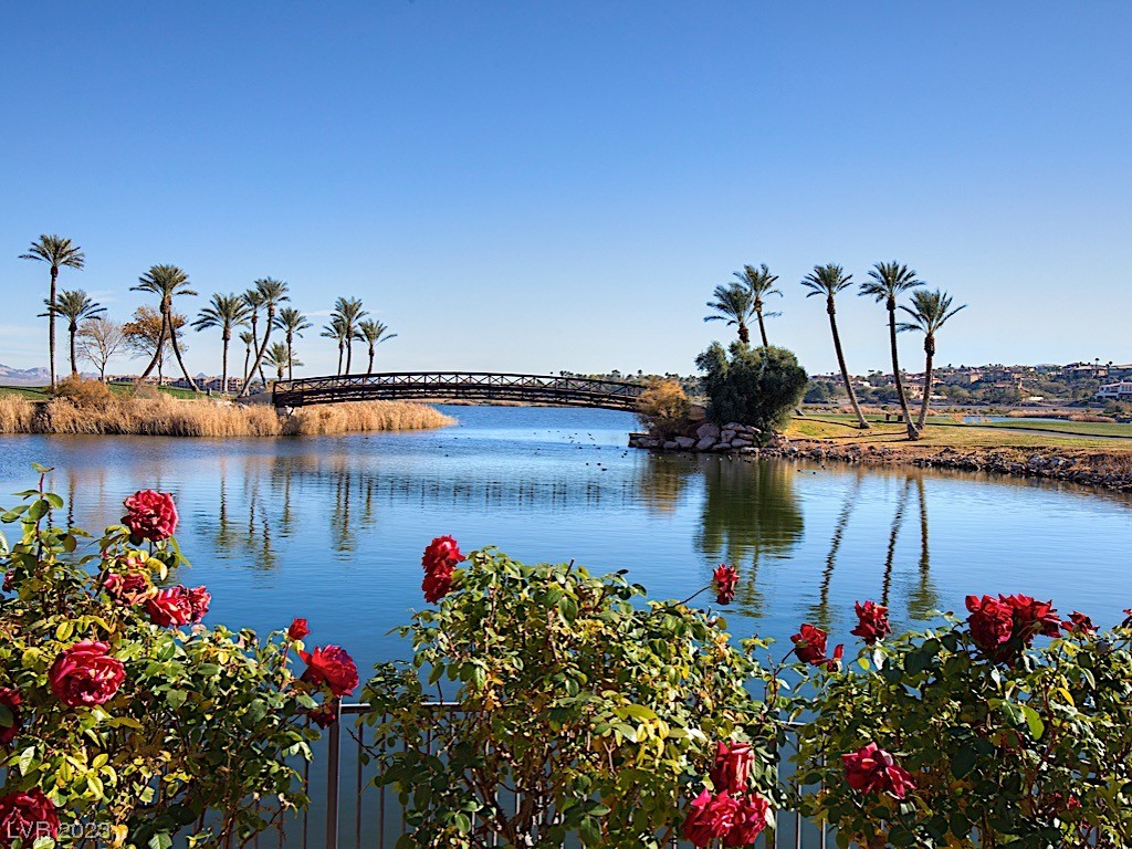 1445 Limestone Terrace Court, Henderson, Nevada image 47