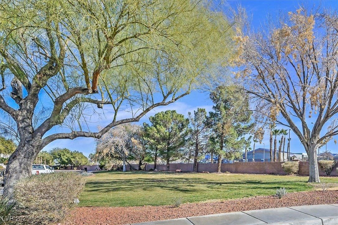 513 Rafkin Place, Henderson, Nevada image 25