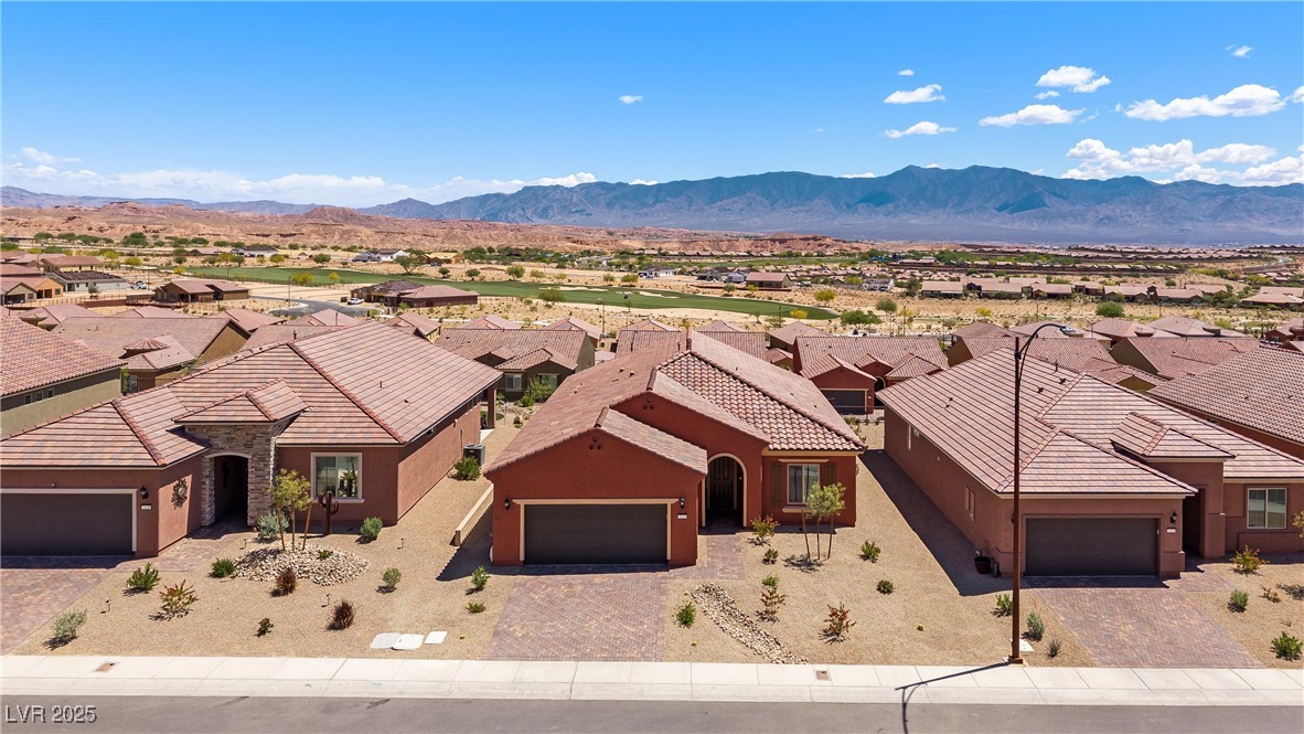 1424 Pin Cushion Ridge, Mesquite, Nevada image 44