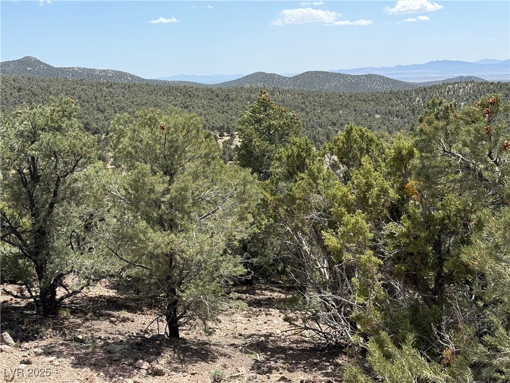 Hilltop, Pioche, Nevada image 30