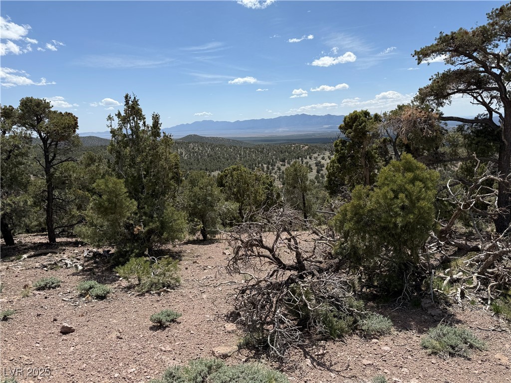 Hilltop, Pioche, Nevada image 21