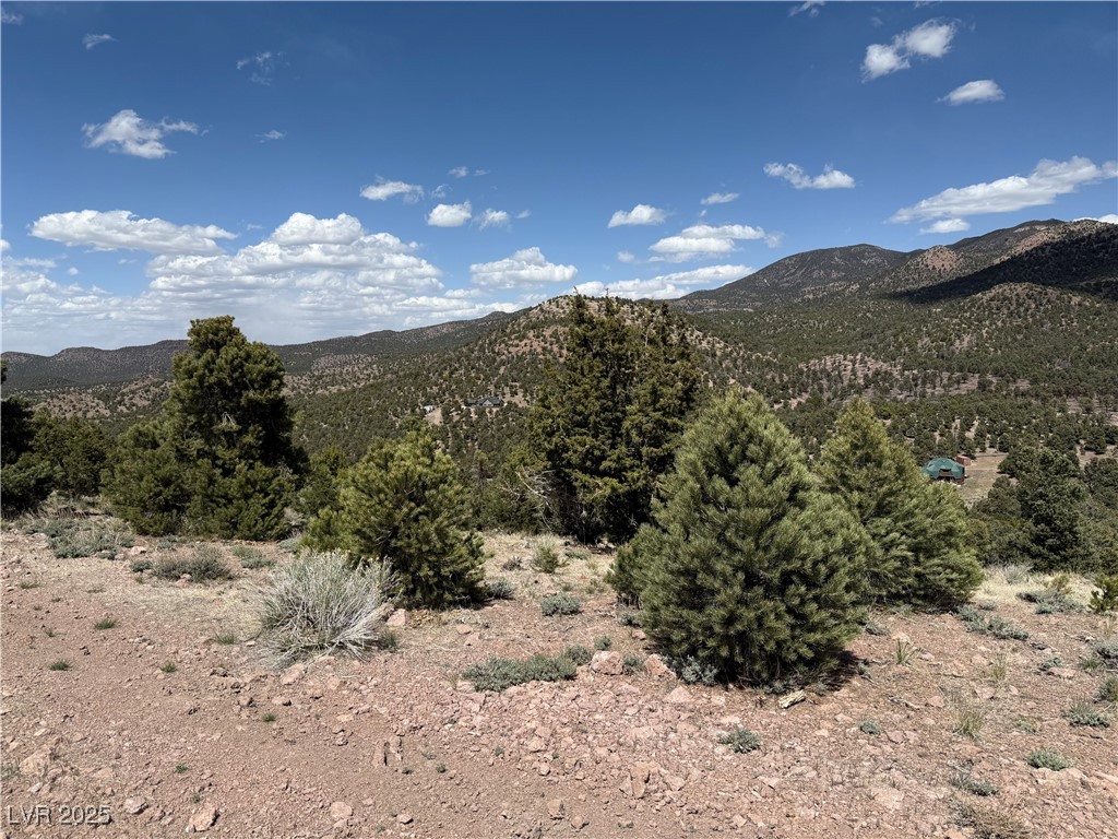 Hilltop, Pioche, Nevada image 24