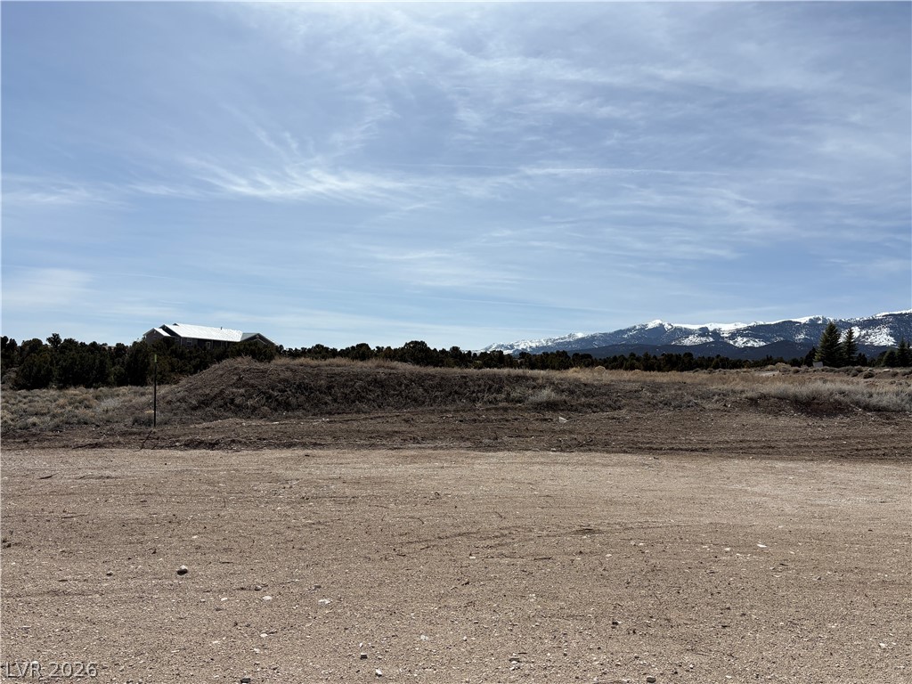 693 W Pinyon Pine Lane