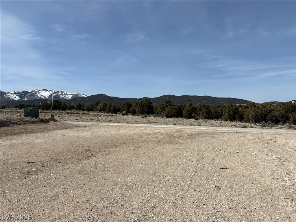 693 W Pinyon Pine Lane