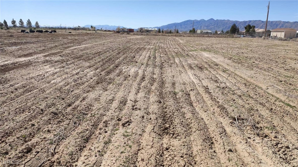 961 W Elderberry Street