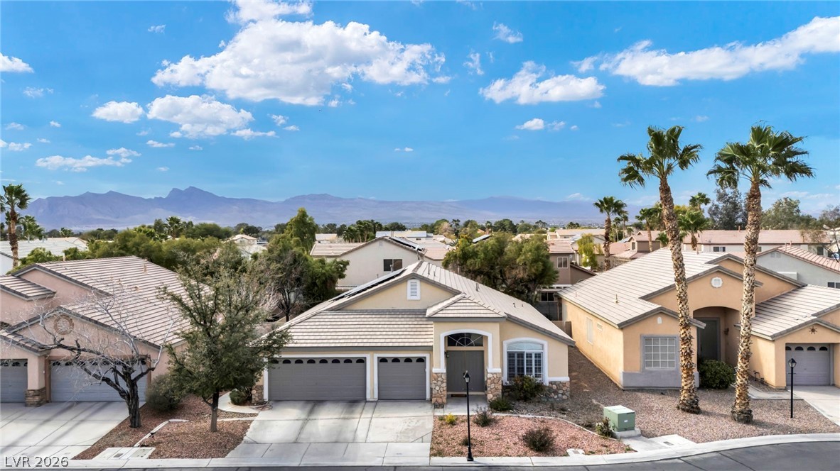 7325 Jack Russell Street