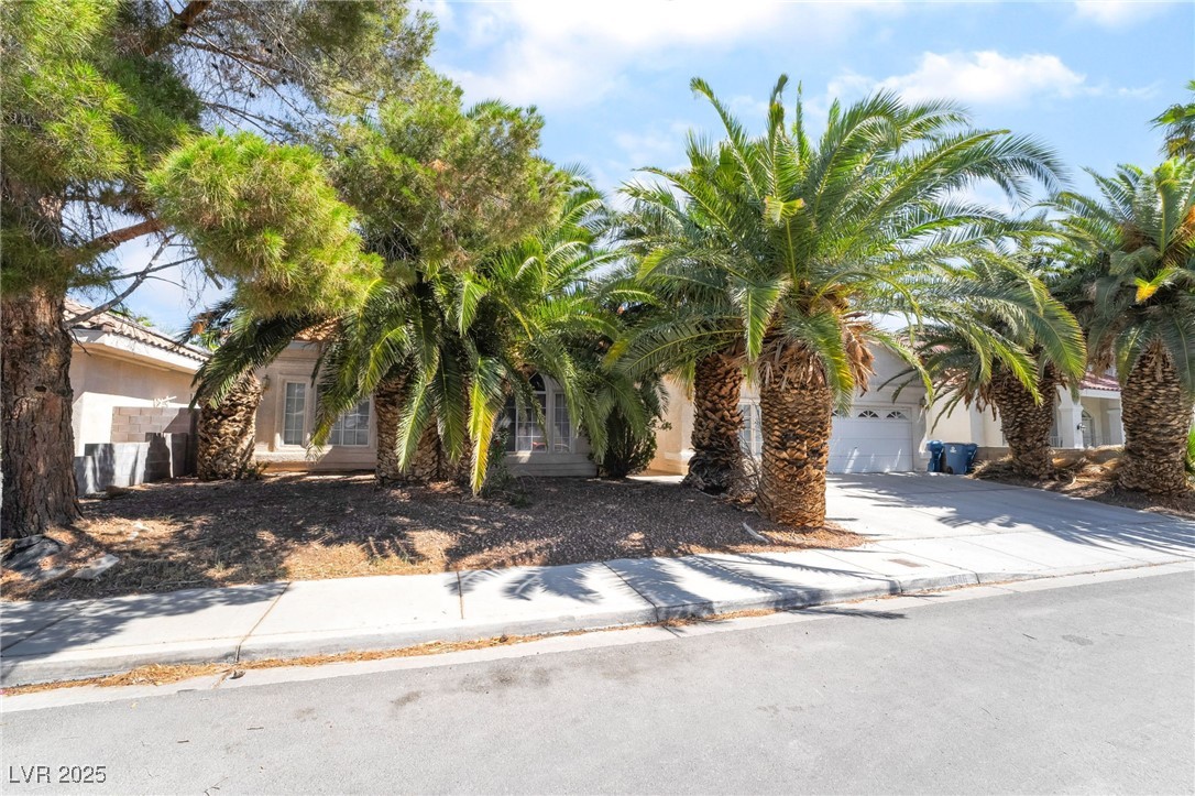 3646 Billman Avenue, Las Vegas, Nevada image 2