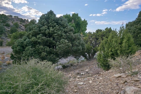 Tiny photo for Bugling Bull Road, Cold Creek, NV 89124 (MLS # 2720125)