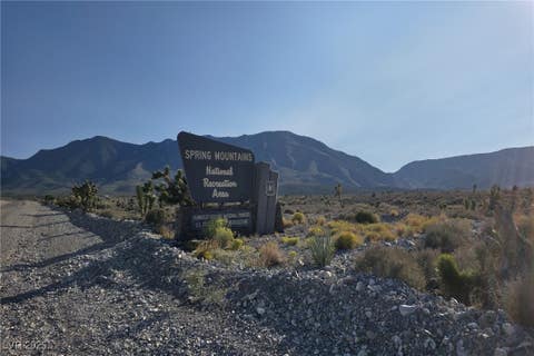 Tiny photo for Bugling Bull Road, Cold Creek, NV 89124 (MLS # 2720125)