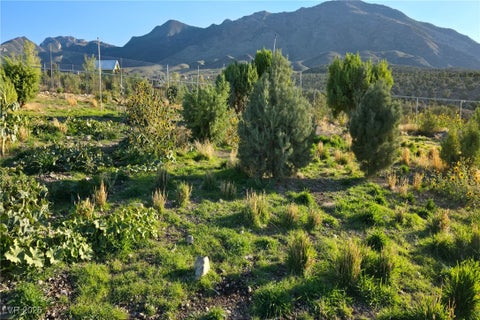 Tiny photo for Bugling Bull Road, Cold Creek, NV 89124 (MLS # 2720125)