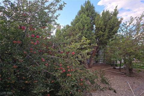 Tiny photo for Bugling Bull Road, Cold Creek, NV 89124 (MLS # 2720125)