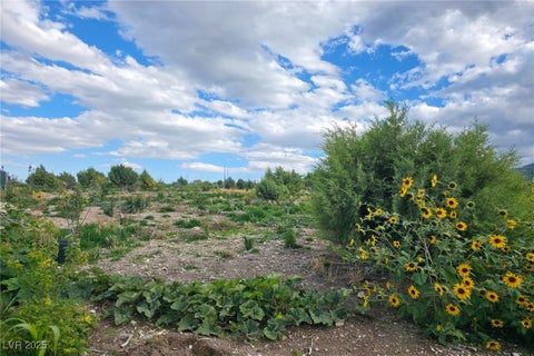Tiny photo for Bugling Bull Road, Cold Creek, NV 89124 (MLS # 2720125)