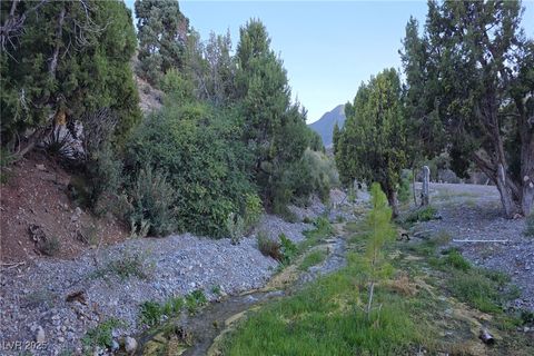 Tiny photo for Bugling Bull Road, Cold Creek, NV 89124 (MLS # 2720125)