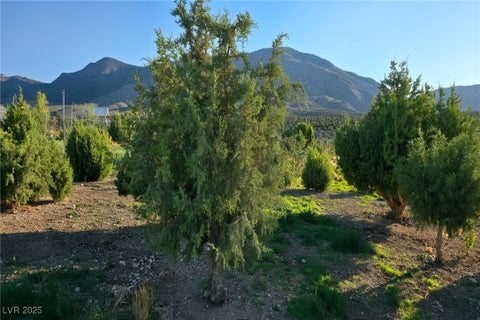 Tiny photo for Bugling Bull Road, Cold Creek, NV 89124 (MLS # 2720125)