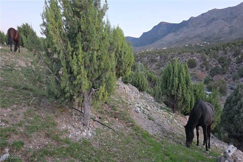 Tiny photo for Bugling Bull Road, Cold Creek, NV 89124 (MLS # 2720125)