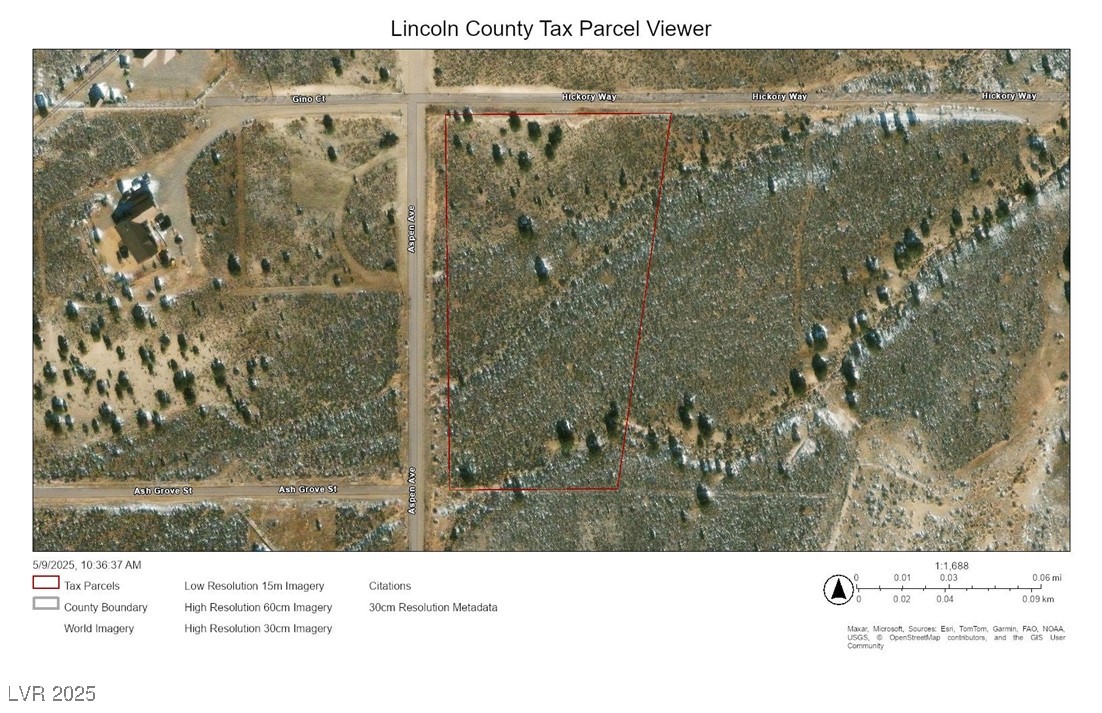 Aspen, Pioche, Nevada image 14