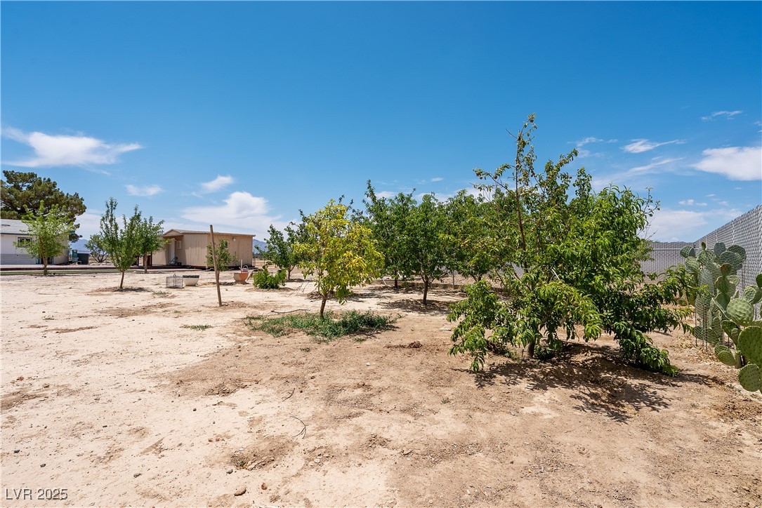 650 Greta Boulevard, Pahrump, Nevada image 11