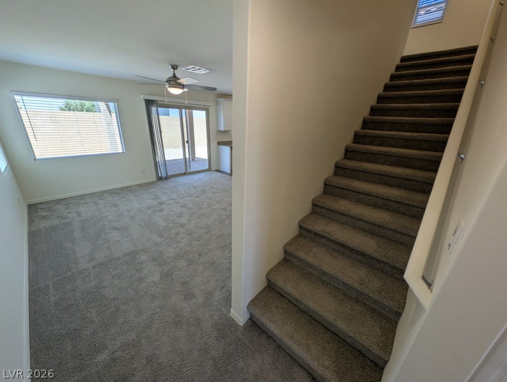 4935 Toad Lily Street