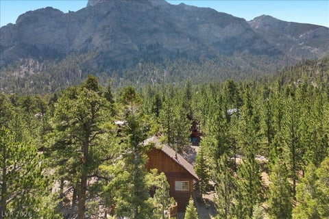 Tiny photo for 2169 Via Spes Nostra Street, Mount Charleston, NV 89124 (MLS # 2774466)