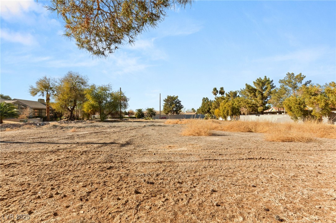 2131 S Oakwood Avenue, Pahrump, Nevada image 8