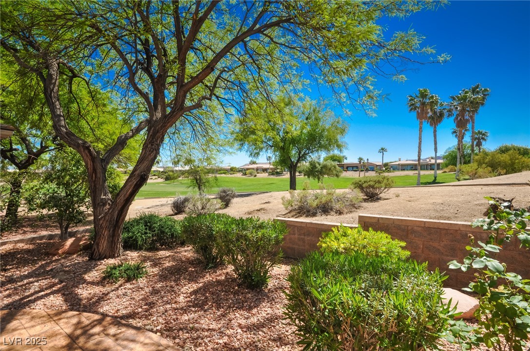 10573 Bambola Place, Las Vegas, Nevada image 28