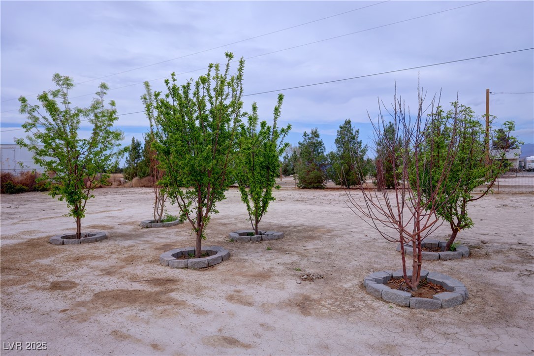 4830 E Comanche Drive, Pahrump, Nevada image 39