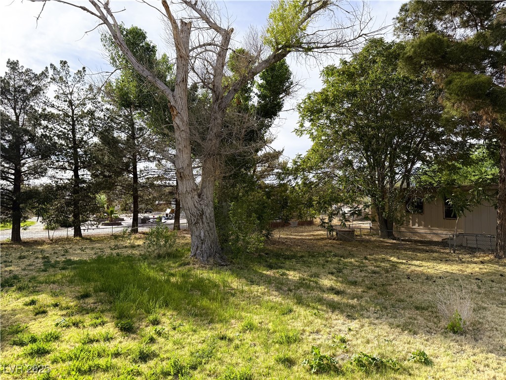 1260 White Street, Pahrump, Nevada image 3