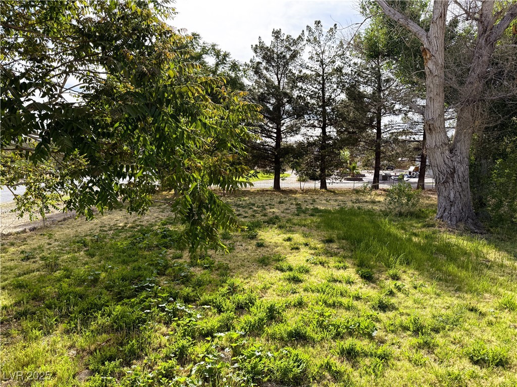 1260 White Street, Pahrump, Nevada image 4