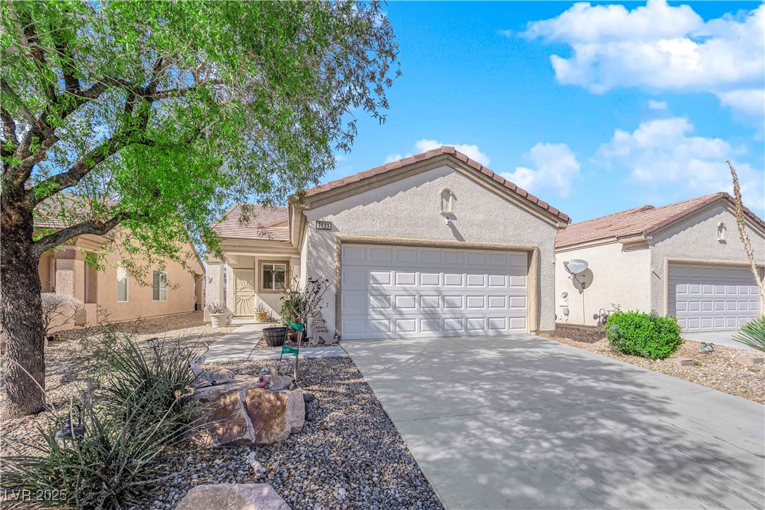 7633 Lily Trotter Street