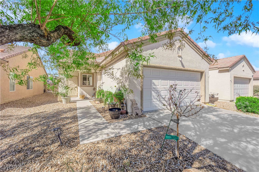 7633 Lily Trotter Street