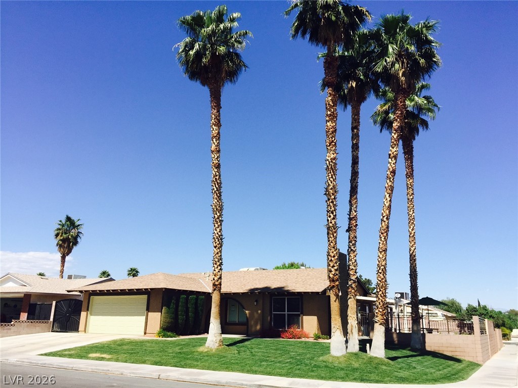 6354 Whippoorwill